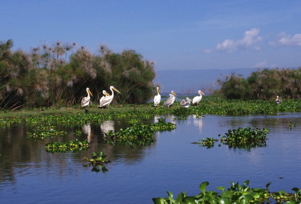 Im Land der 1000 Seen